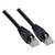 Cat6 Snagless Ethernet Patch Cable, Black (5 Pack)